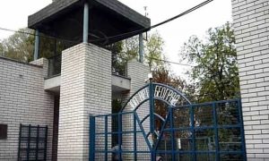 Zoo vrt
