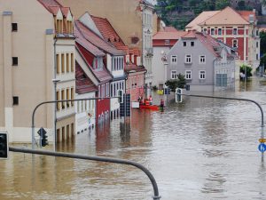 Poplave