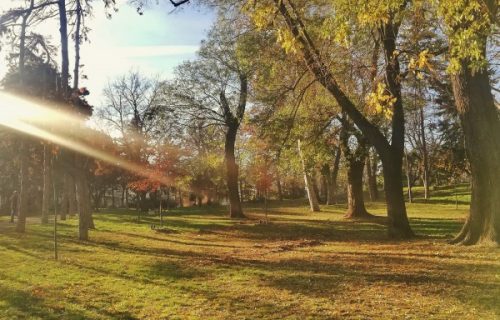 Kalemegdan jesen