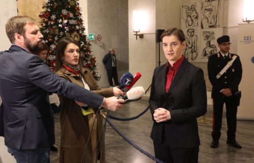 Ana Brnabic