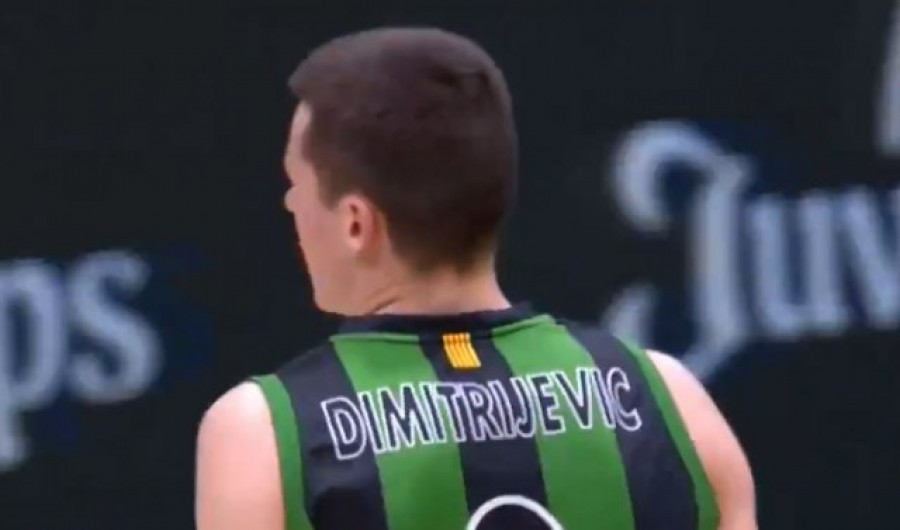 Nenad Dimitrijević
