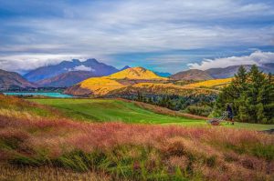 Novi Zeland