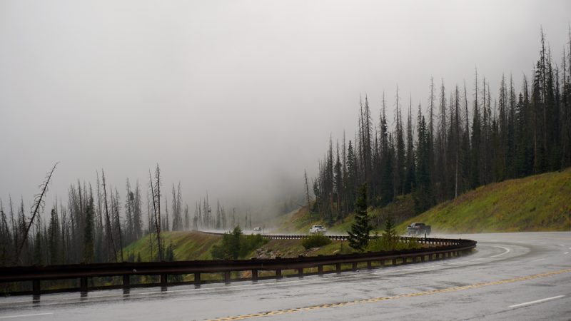 Maglovito i hladno: Tmurno u jednom delu Srbije, a evo gde će biti sunca