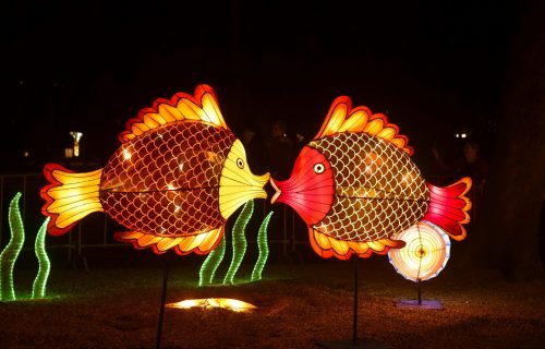 Enormno interesovanje: Produžen Kineski festival svetla na Kalemgdanu (FOTO)