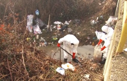 Užas u Valjevu! Tona piletine bačena u potok! (FOTO+VIDEO)