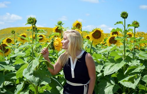 Za vikend nas čeka PRAVO PROLEĆE, nećete skidati naočare za sunce i osmehe s lica