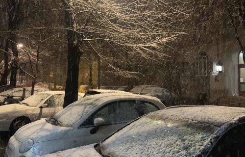 Taman kad smo mislili da nema ništa od toga! Redakcija Objektiva "uhvatila" prvi sneg u Beogradu (FOTO)