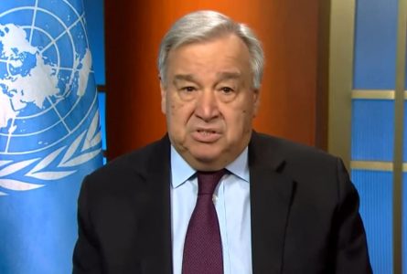 “Situacija u Gazi užasna, nivo smrti i razaranja nema paralele u savremenoj istoriji”