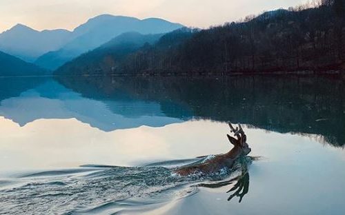 Nestvaran prizor sa jezera Perućac će vas ostaviti bez daha! (FOTO+VIDEO)