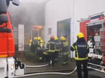 19 vatrogasaca gasi požar na Dedinju (VIDEO)