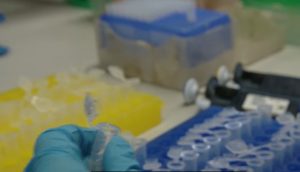 koronavirus