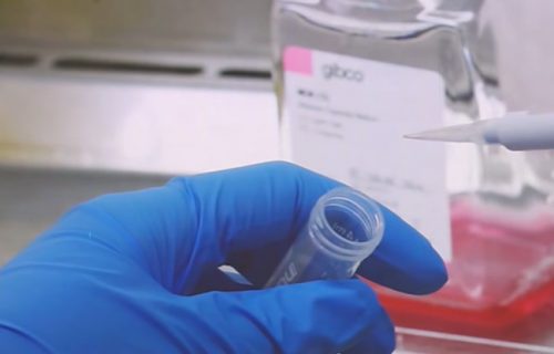 koronavirus