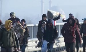 migranti