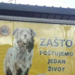 Vegani u akciji: Širom Srbije osvanule reklame i zbunile građane