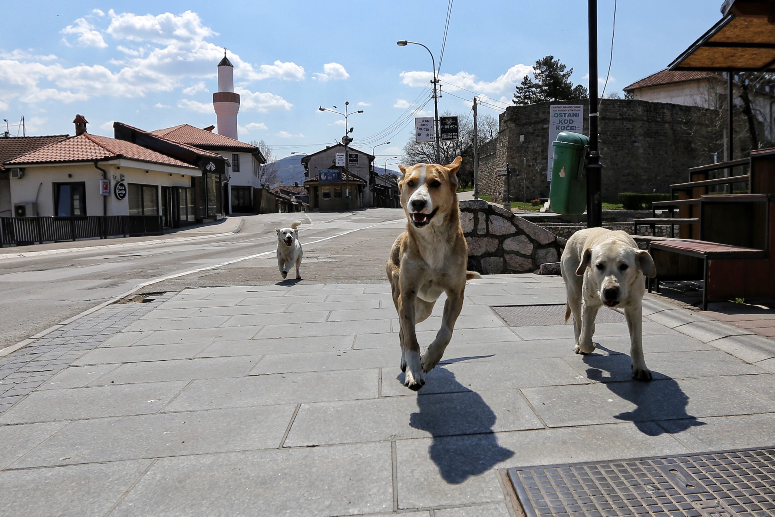 Novi Pazar