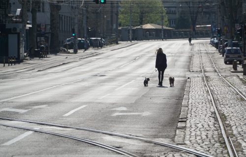 Kineski stručnjak poručuje za koliko će EPIDEMIJA u Srbiji biti pod kontrolom, uz RIGOROZNE mere