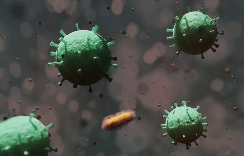Virusolozi savetuju: Otvorite prozore, virus nema krila