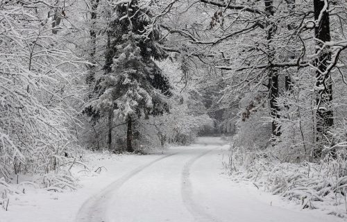 Srpski meteorolog NAJAVIO PRVI SNEG U SRBIJI: Otkrio i za koliko će čak stepeni temperatura pasti