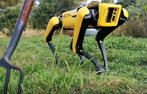 Posle Singapura robot-pas stigao na Novi Zeland: Umesto neposlušnih ljudi, tera ovce (VIDEO)