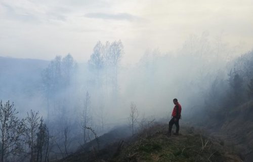 Bukti veliki požar na Kopaoniku: Jak vetar rasplamsao vatru (FOTO)