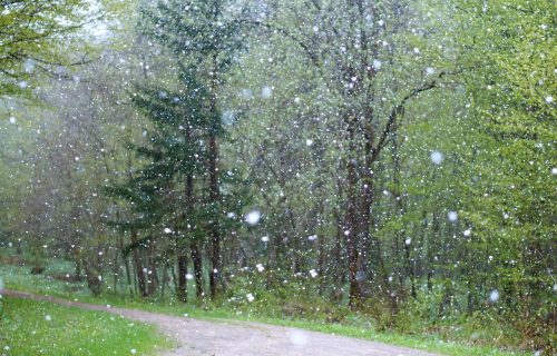 Kao da nije leto: Posle svežeg i tmurnog jutra stiže nevreme