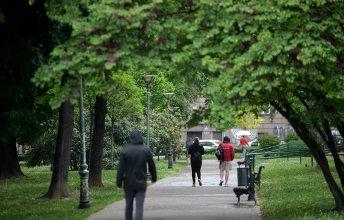 Na izletištima u Beogradu krpelji zaraženi OPASNOM BAKTERIJOM: Stručnjaci savetuju šta da radite ako vas UBODE