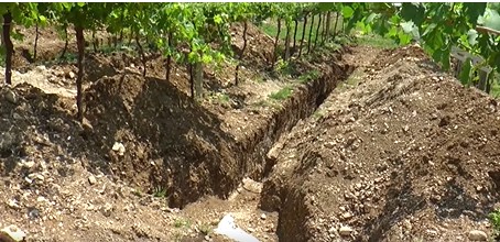 Nakon stogodišnje potrage arheolozi konačno pronašli vredne ostatke (FOTO+VIDEO)