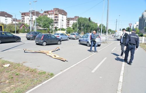 Ko ga je tamo OBESIO? Prolaznici na Novom Beogradu zapanjeni, intervenisala policija (FOTO)