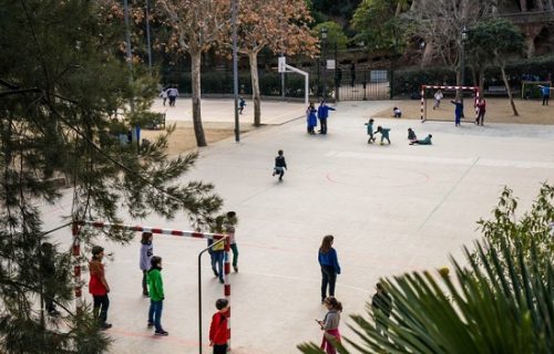 Čudo prirode! Cveće izraslo nasred sportskog terena zatvorene škole (FOTO)