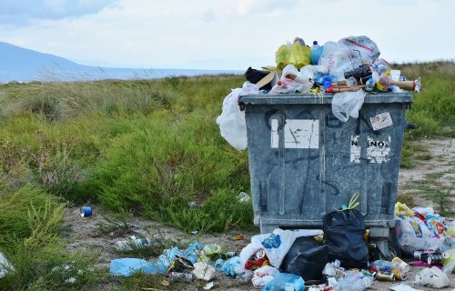 Stajali kod kontejnera, pa slučajno pronašli sliku vrednu 280.000 evra (FOTO)