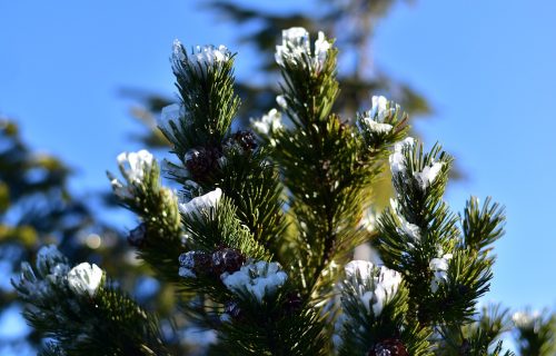 Spremite se za varljivo vreme do kraja oktobra: Za nekoliko dana pašće novi SNEG, a onda RAST temperature