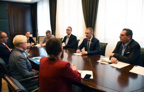 Ministar Stefanović razgovarao sa predstavnicima posmatračke misije ODIHR o izborima (FOTO)