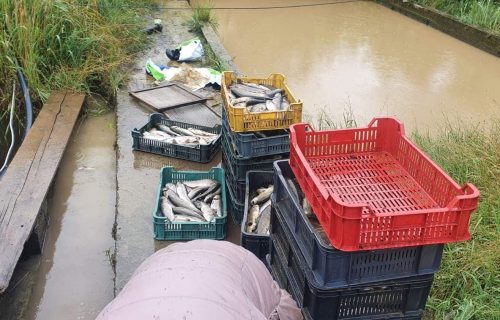 "Ovakvu katastrofu ne pamtimo": Uništeni ribnjaci u Bajinoj Bašti, vodena stihija sve poplavila (FOTO)