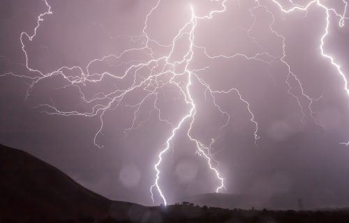 Izvučena žena iz trafike, drvo palo na taksi u kom je bilo dvoje dece, uništen simbol Novog Sada! (VIDEO+FOTO)