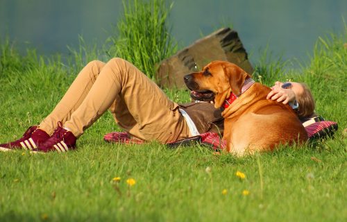 Uživajte dok možete, leto je na izmaku: Danas temperatura do 32 stepena, ali nam stiže zahlađenje