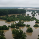 Vodostaj Zapadne Morave raste: 200 hektara pod vodom, hidrolog upozorava na oprez