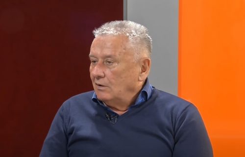 "Nisam video, spustio sam ruku na koren šljive i tad me ujela": Oglasio se Velja Ilić Posle UJEDA ZMIJE