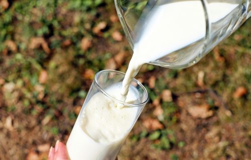 Mleko - tema koja izaziva podele: Mitovi se šire, šta je prava istina?