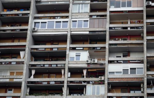 Ulaze u domove i seju CIJANID: Ova napast već hara Beogradom, postoji samo JEDNA odbrana