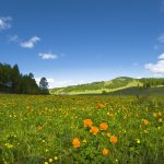 Danas toplo i sunčano vreme: Temperatura do 28 stepeni