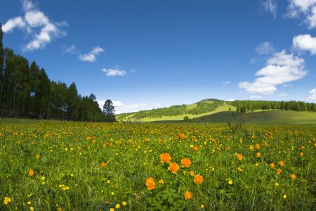 Danas toplo i sunčano vreme: Temperatura do 28 stepeni