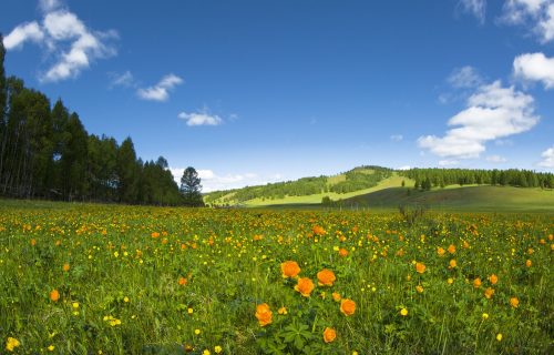 Danas toplo i sunčano vreme: Temperatura do 28 stepeni