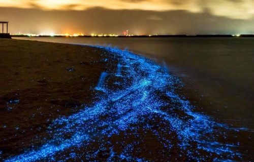 Neobična pojava: Plaža koja SVETLI NOĆU je pravi prirodni fenomen (VIDEO)