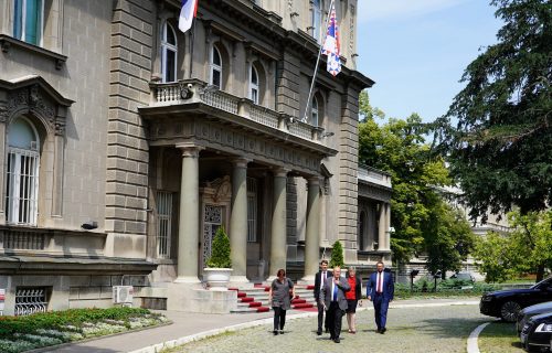 Vučić: Za 10 do 15 dana preneću strankama, sa kojima sam razgovarao, svoje viđenje formiranja nove vlade