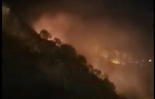 Bukti požar nad Kotorom: Zbog bakljade strada neprocenjivo prirodno blago (VIDEO)