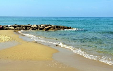 Buldožerom usmrtio ženu na plaži: Italijan pozitivan na kokain, nema ni vozačku dozvolu