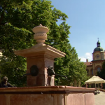 Građani koji su danas peške krenuli iz Novog Sada stigli u Sremske Karlovce