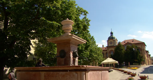 Građani koji su danas peške krenuli iz Novog Sada stigli u Sremske Karlovce