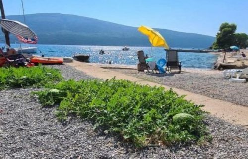 Čudo na morskoj obali u komšiluku: Lubenice nikle uz samu plažu (FOTO)