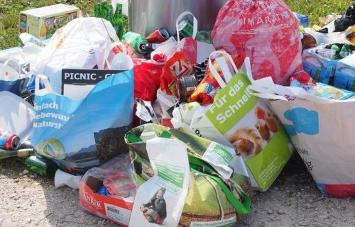 Napravili ršum i zaprljali veliki park, država ih kažnjava na NEVEROVATAN način